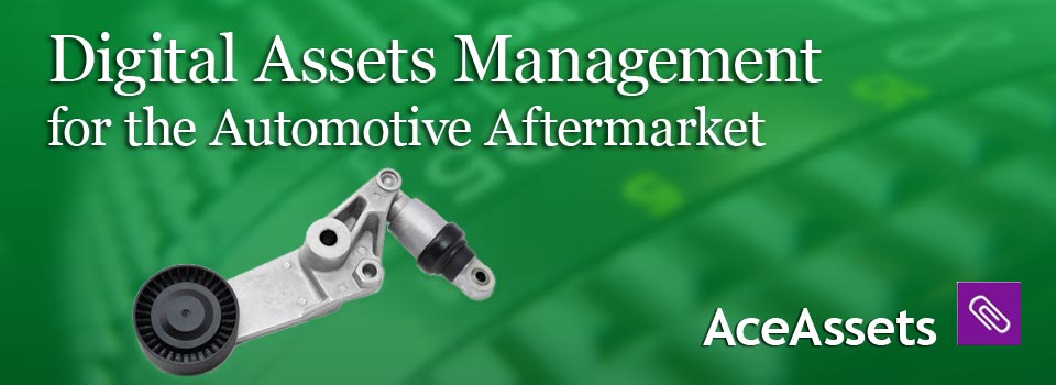 Digital asset management software